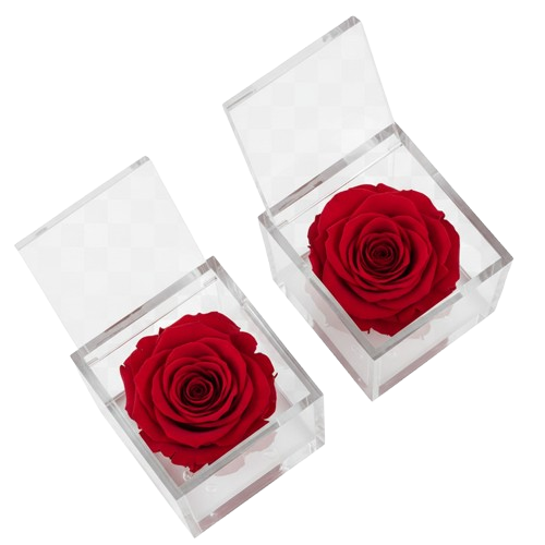 Flores eternas para regalo