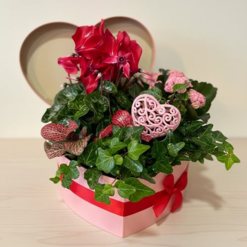 CORAZÓN BOX SAN VALENTÍN