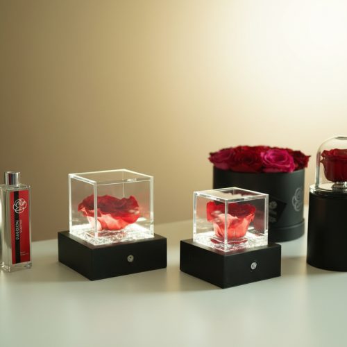 Lámpara Rosa Eterna