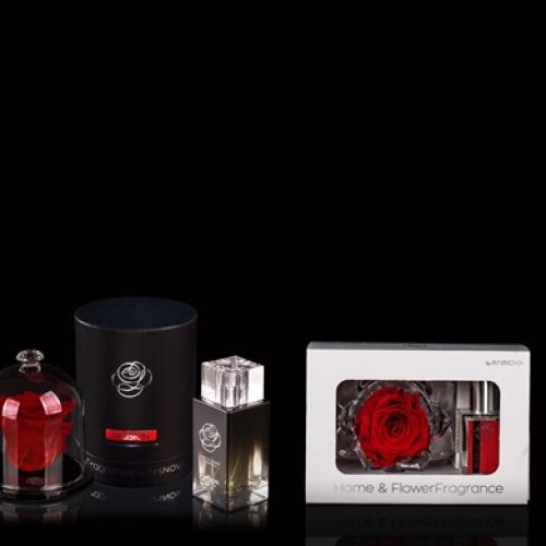 Rosa eterna con fragancia